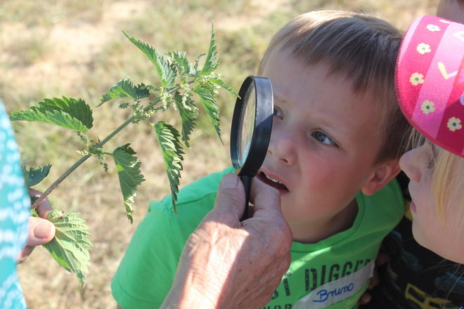  Startseite - DRK KV Euskirchen e.V. Bildidee 
